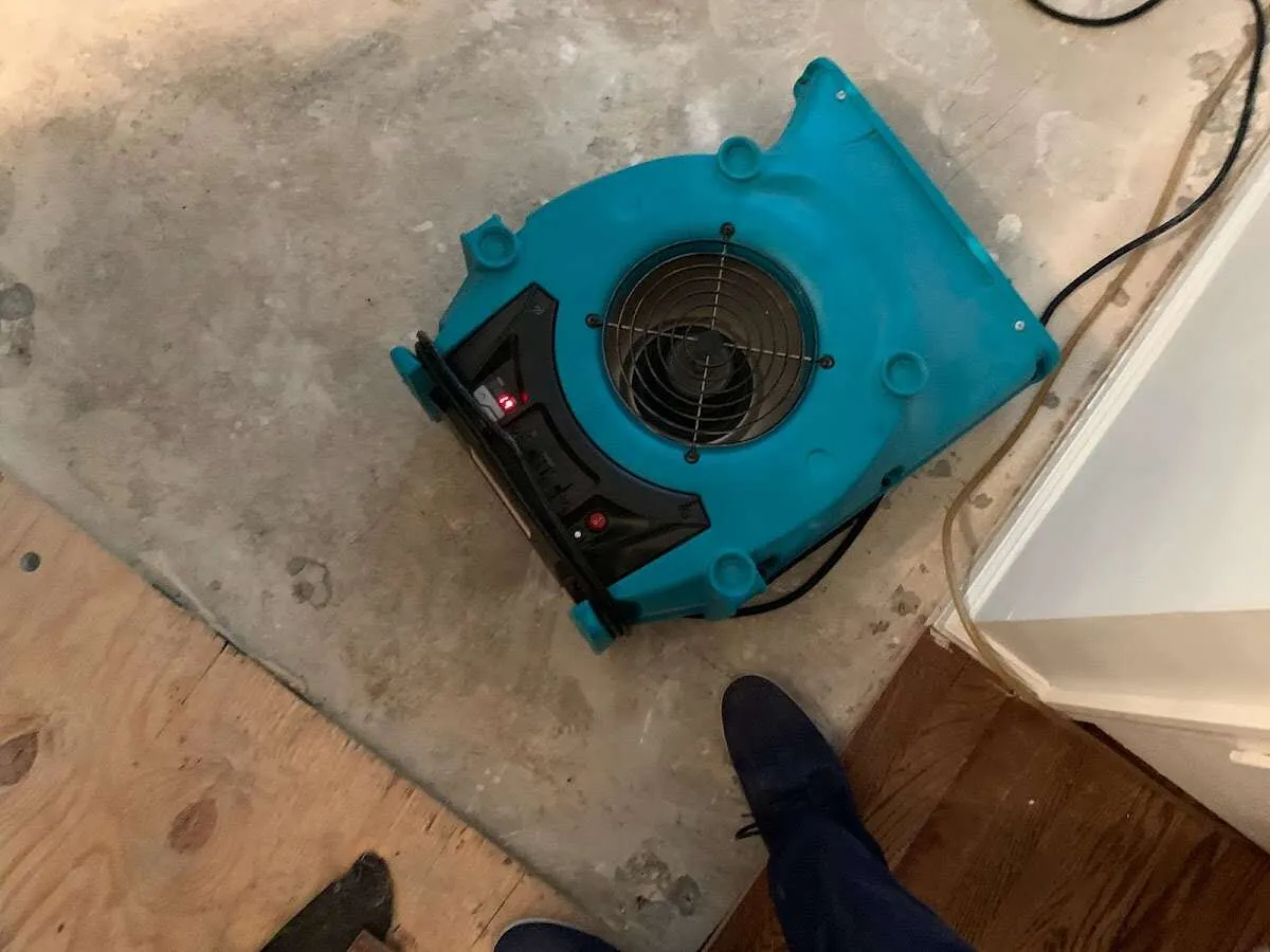 Air mover drying subfloor during Leak Detection & Repair in Belvedere Park